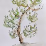 Aquarelle d’un arbre
